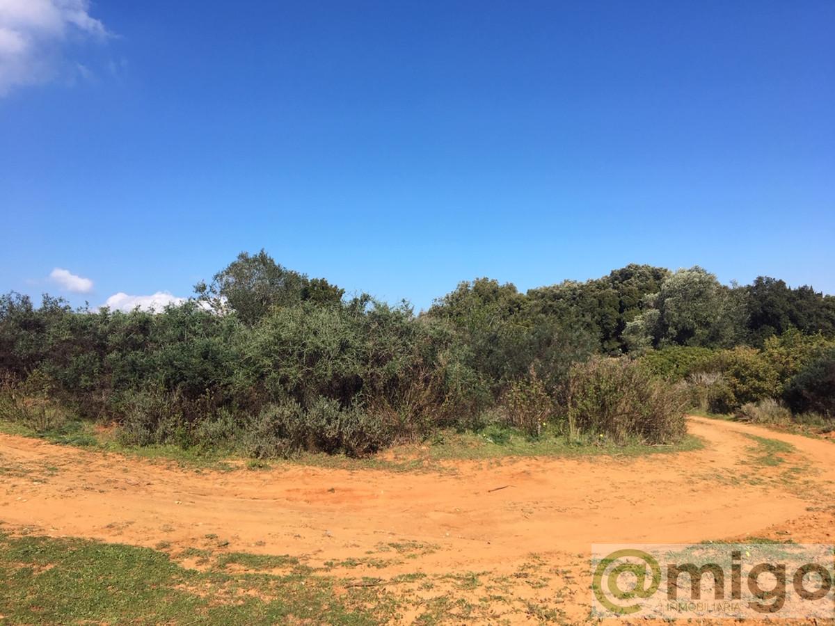 For sale of land in Manilva