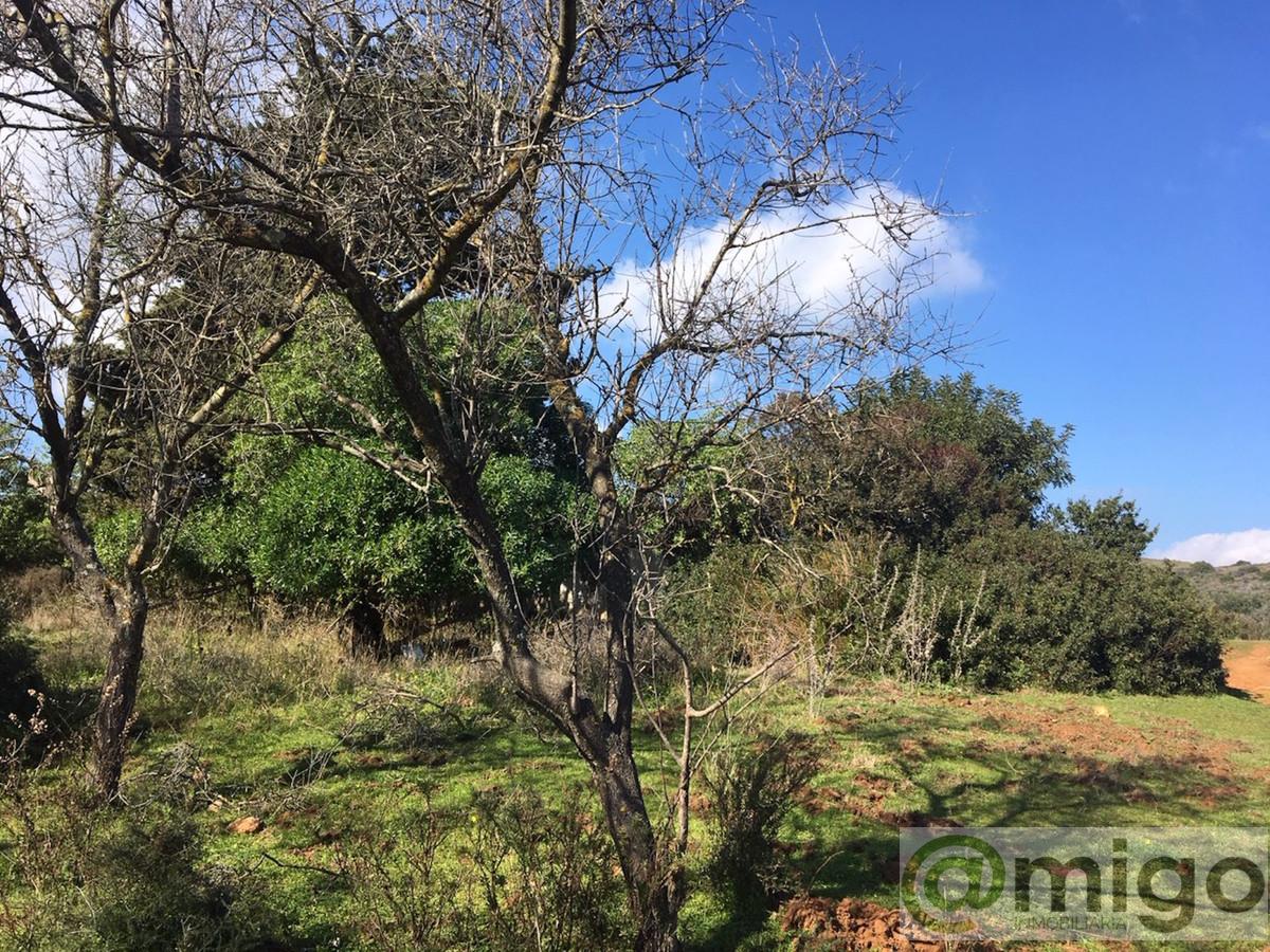 For sale of land in Manilva