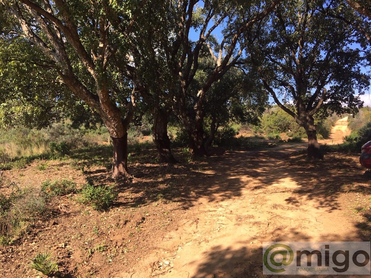 For sale of land in Manilva