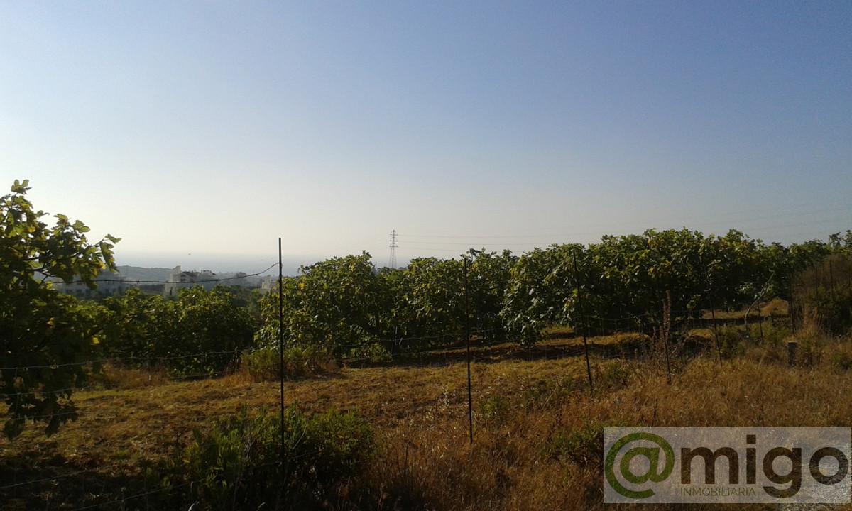 Venta de terreno en Casares