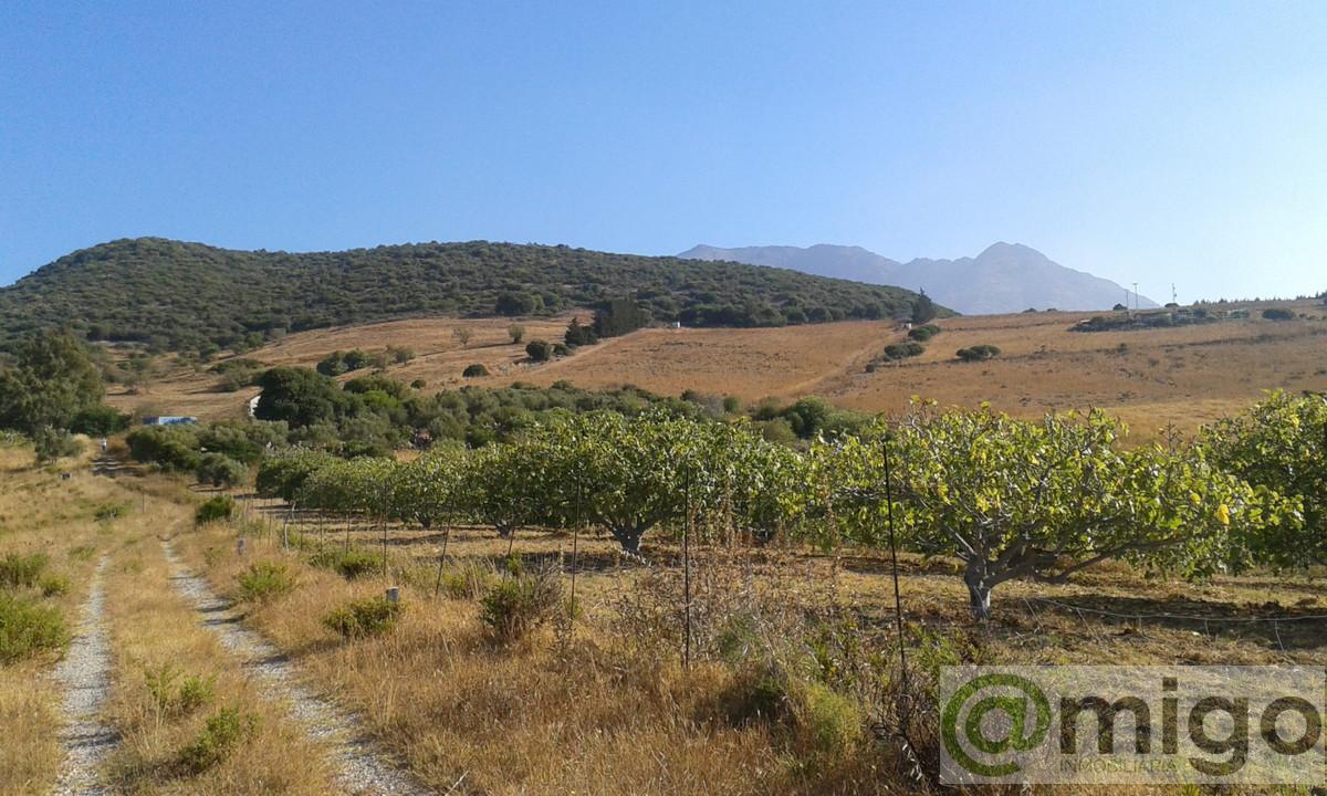 Venta de terreno en Casares