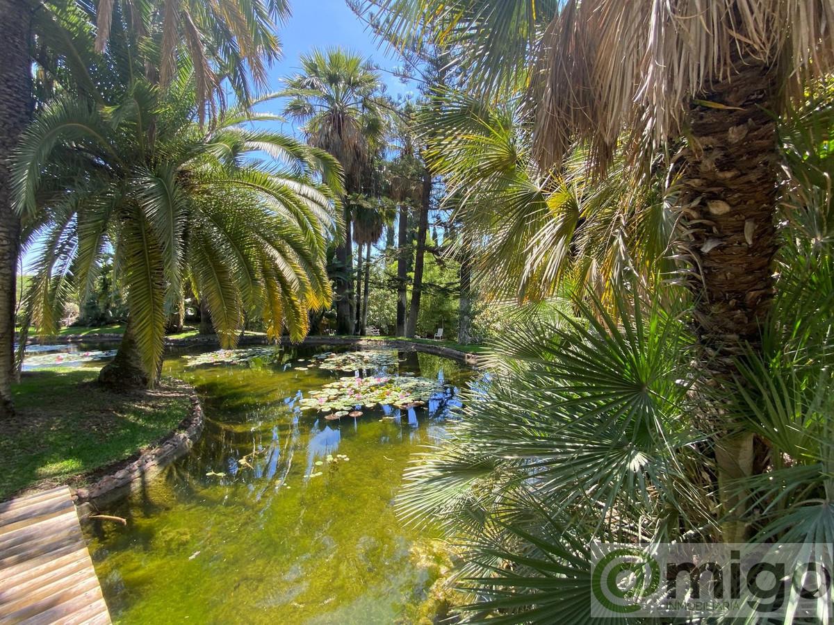 For sale of villa in Marbella
