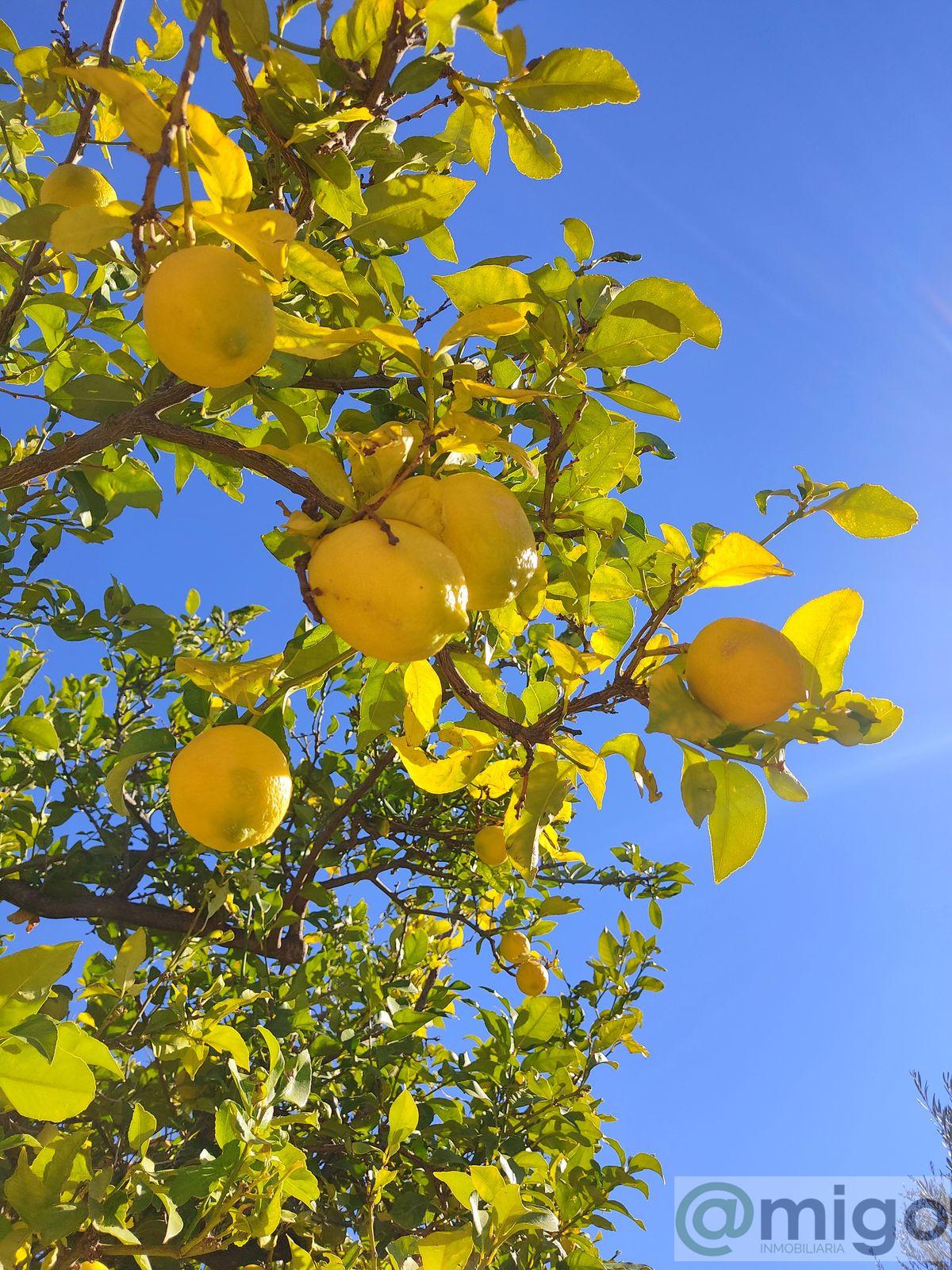 Venta de villa en La Cala de Mijas