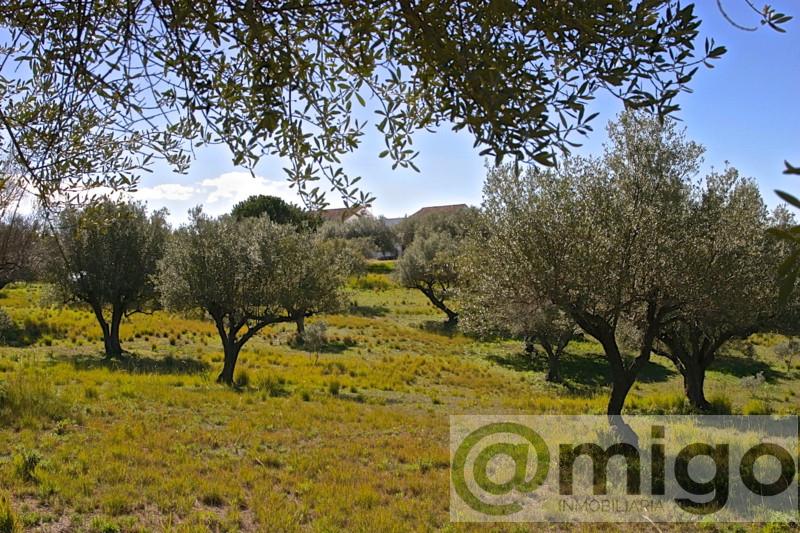 For sale of villa in Marbella