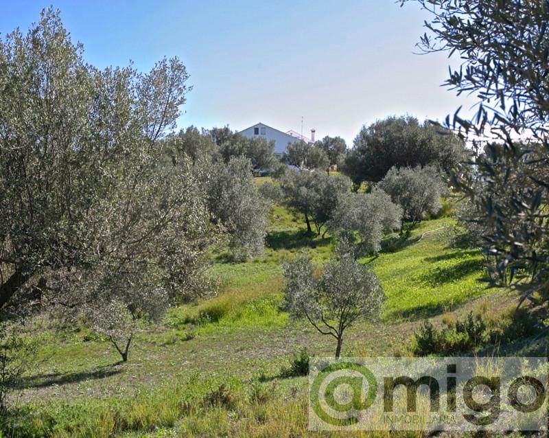 For sale of villa in Marbella