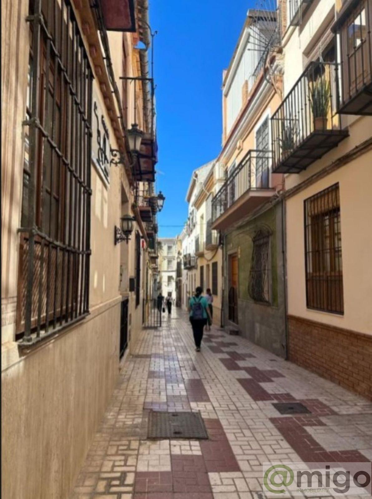 Venta de villa en Málaga Centro