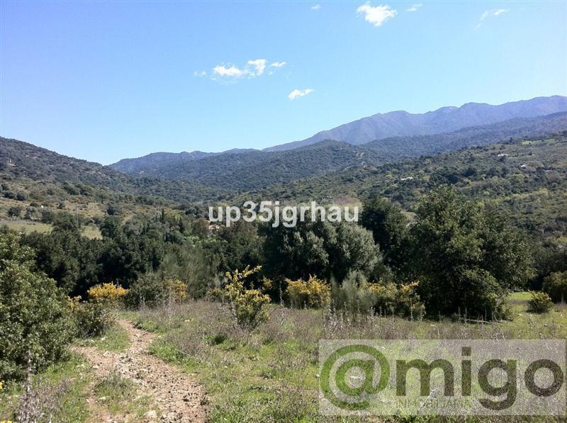Продажа от

 Земельные участки на Casares