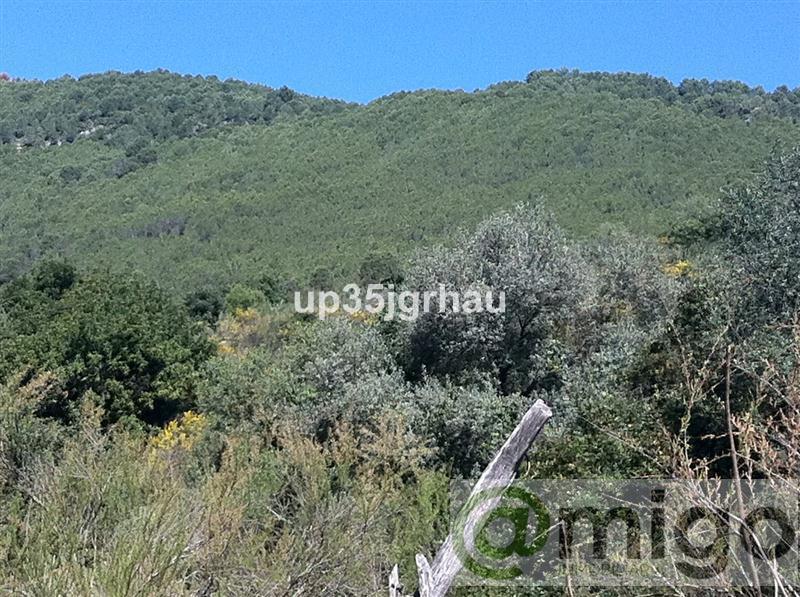 Продажа от

 Земельные участки на Casares