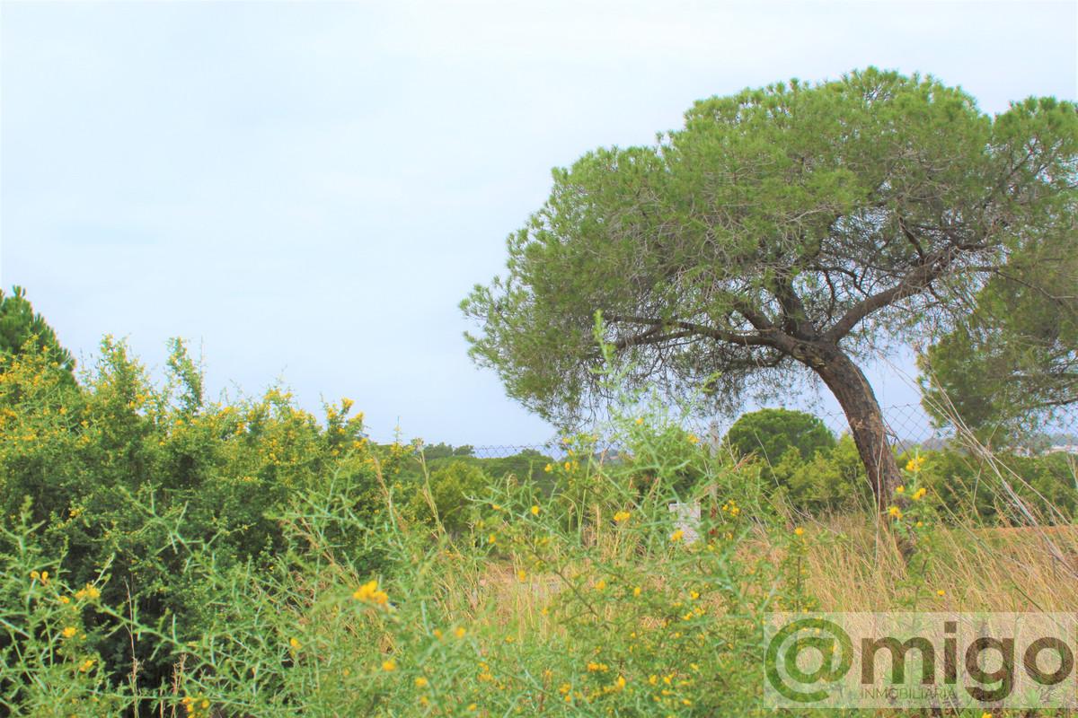 Venta de terreno en Marbella