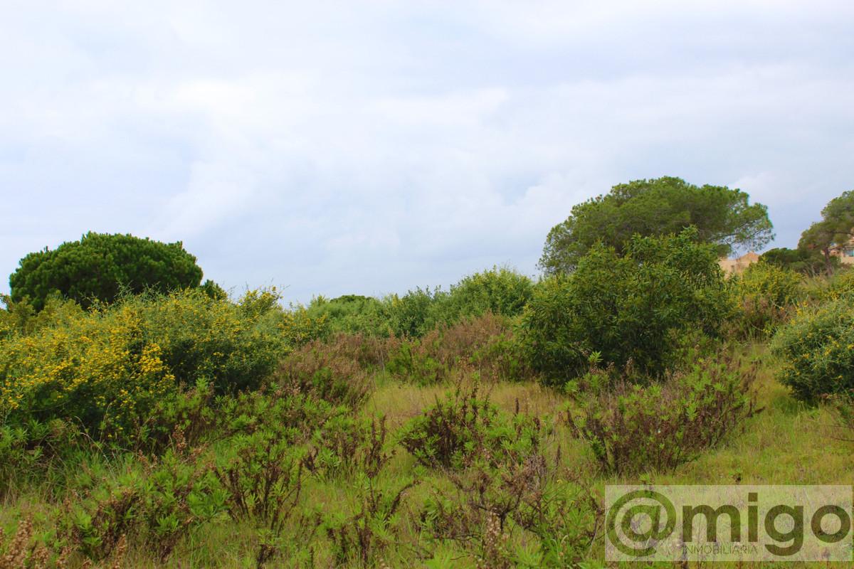 Venta de terreno en Marbella