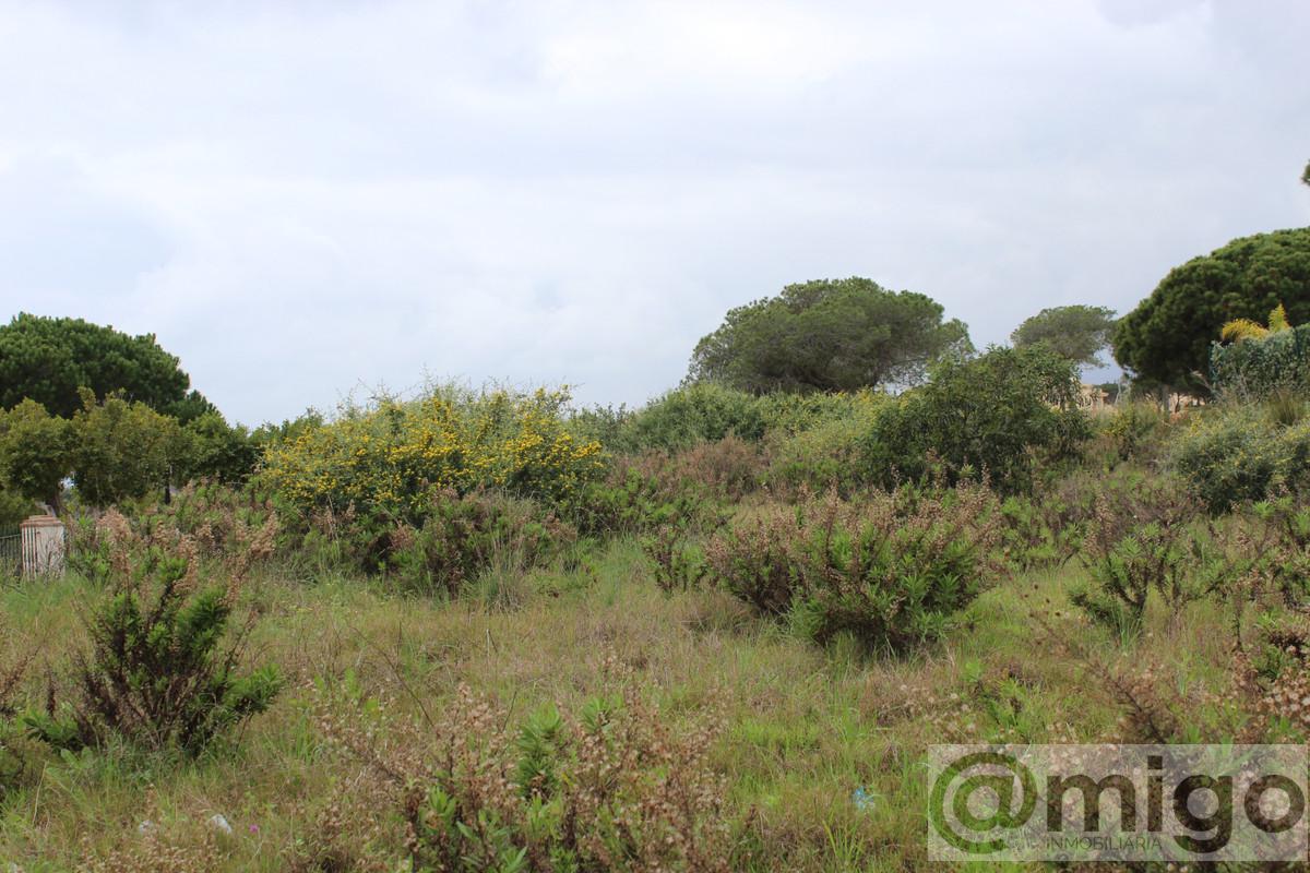Venta de terreno en Marbella