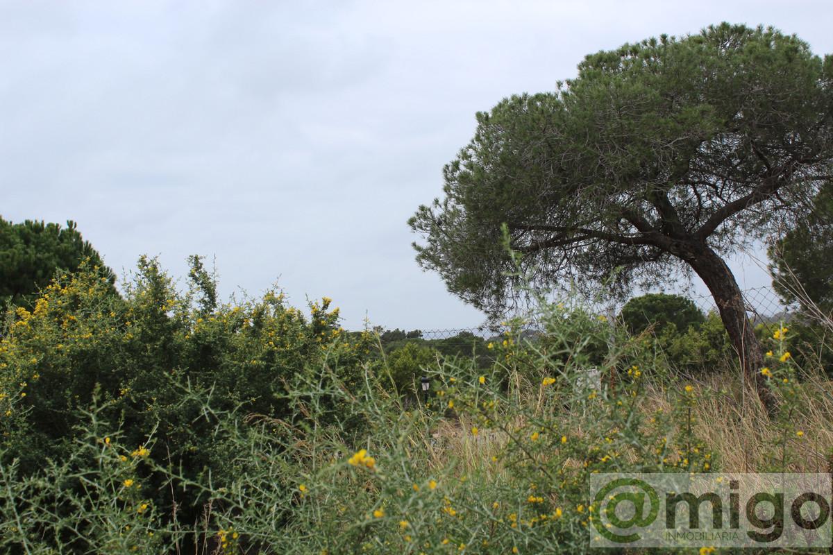 Venta de terreno en Marbella