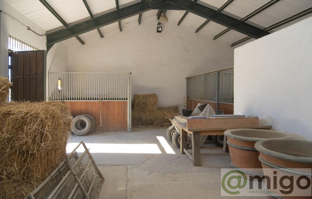 Venta de villa en Estepona