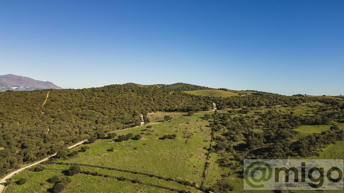 Venta de villa en Estepona