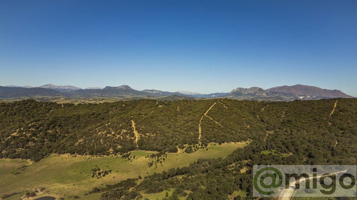 Venta de villa en Estepona