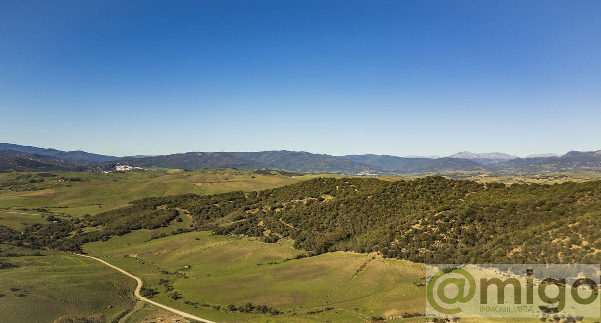 Venta de villa en Estepona