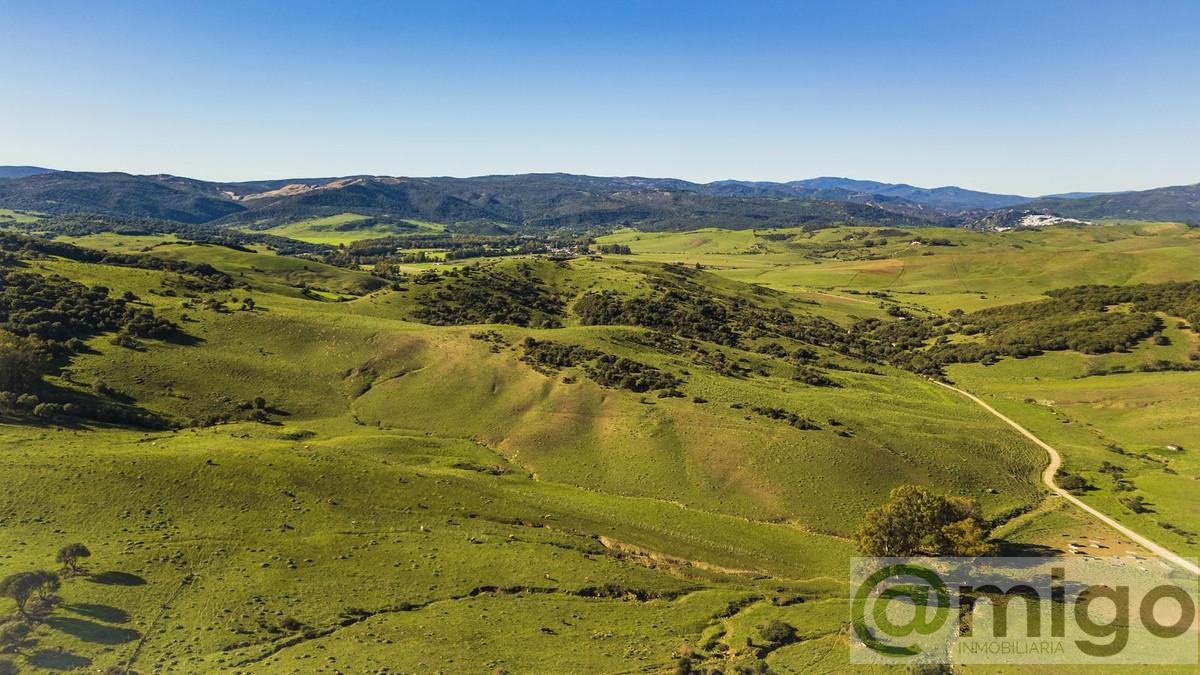 Venta de villa en Estepona