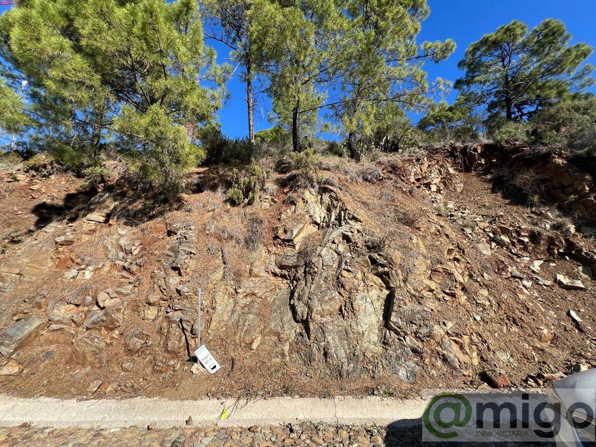 Venta de terreno en Marbella