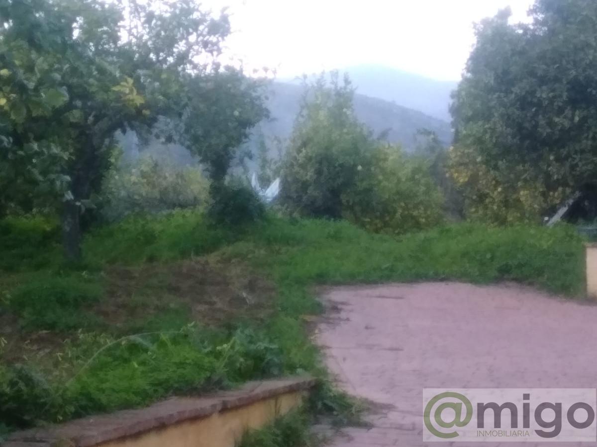 For sale of villa in El Padron