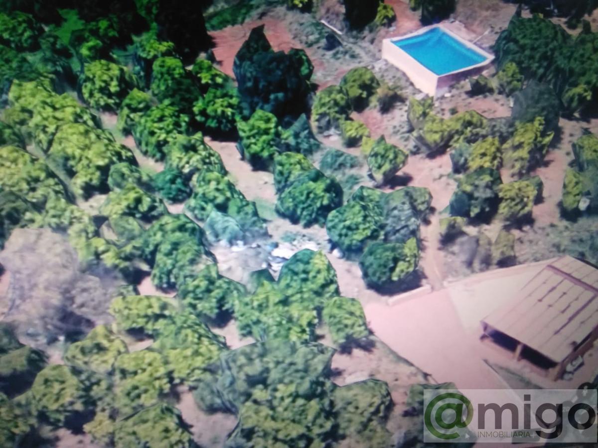 For sale of villa in El Padron