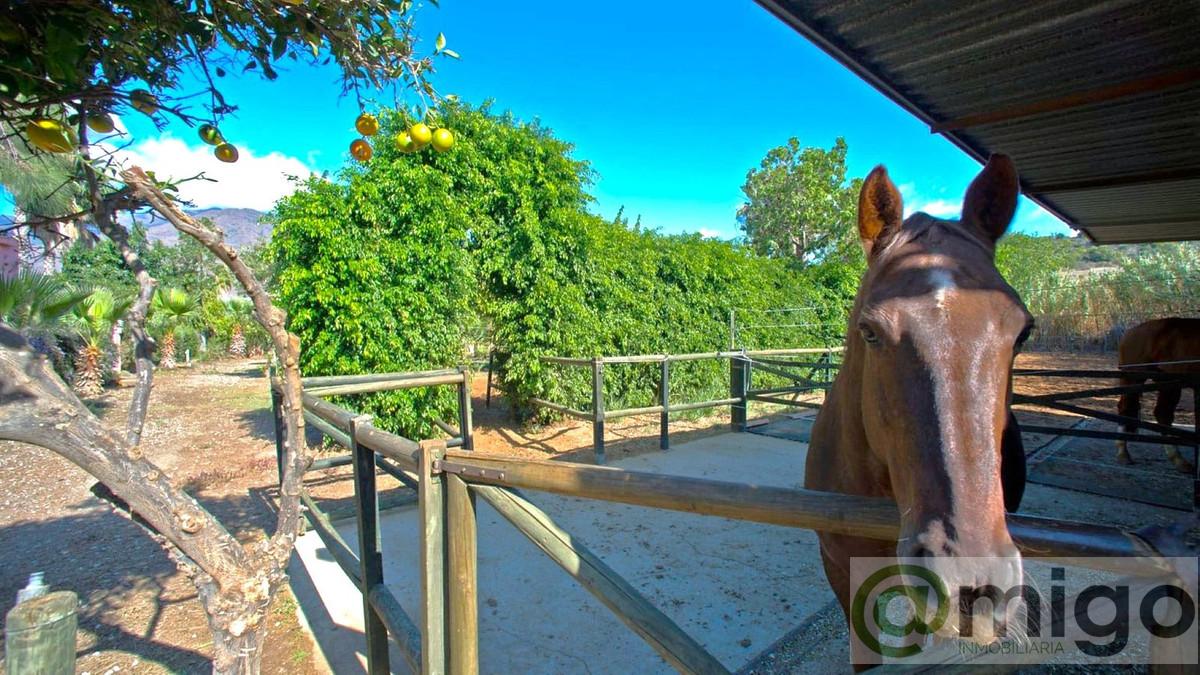 Venta de villa en Estepona