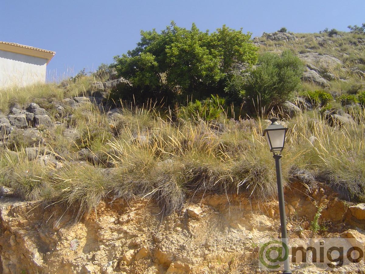 For sale of land in Coín