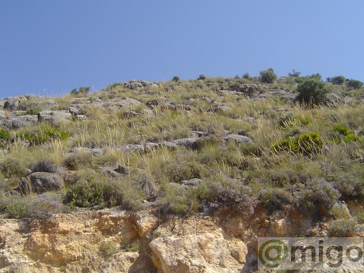 Venta de terreno en Coín