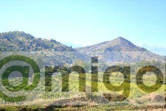 Venta de local en Coín