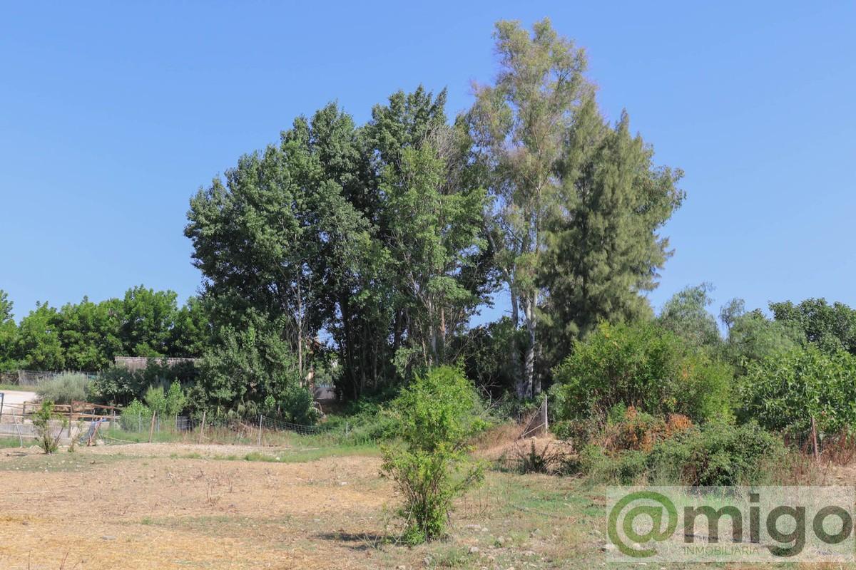 Venta de terreno en Coín