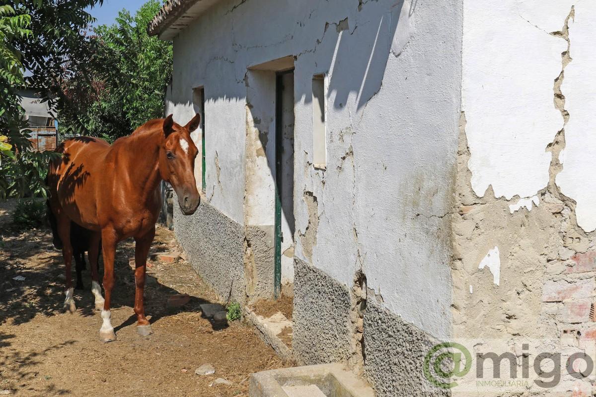 Venta de terreno en Coín