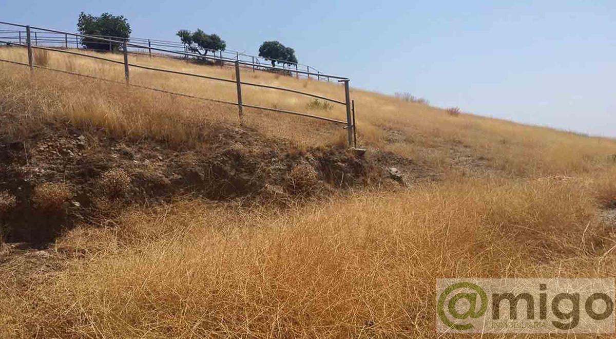 Venta de villa en Coín