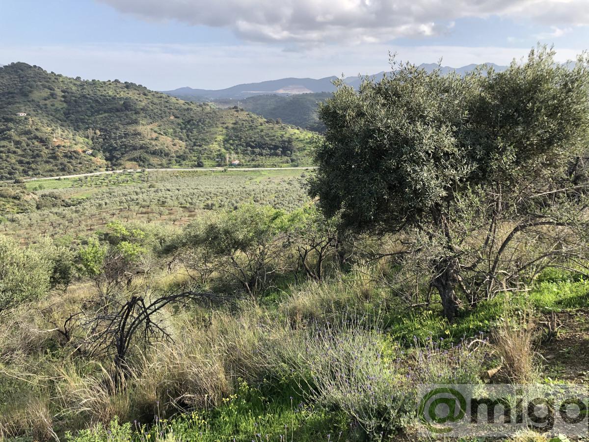 Venta de terreno en Coín
