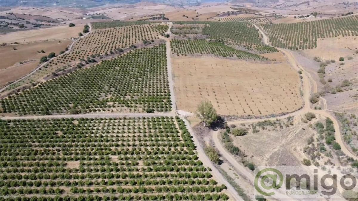 Venta de terreno en Coín