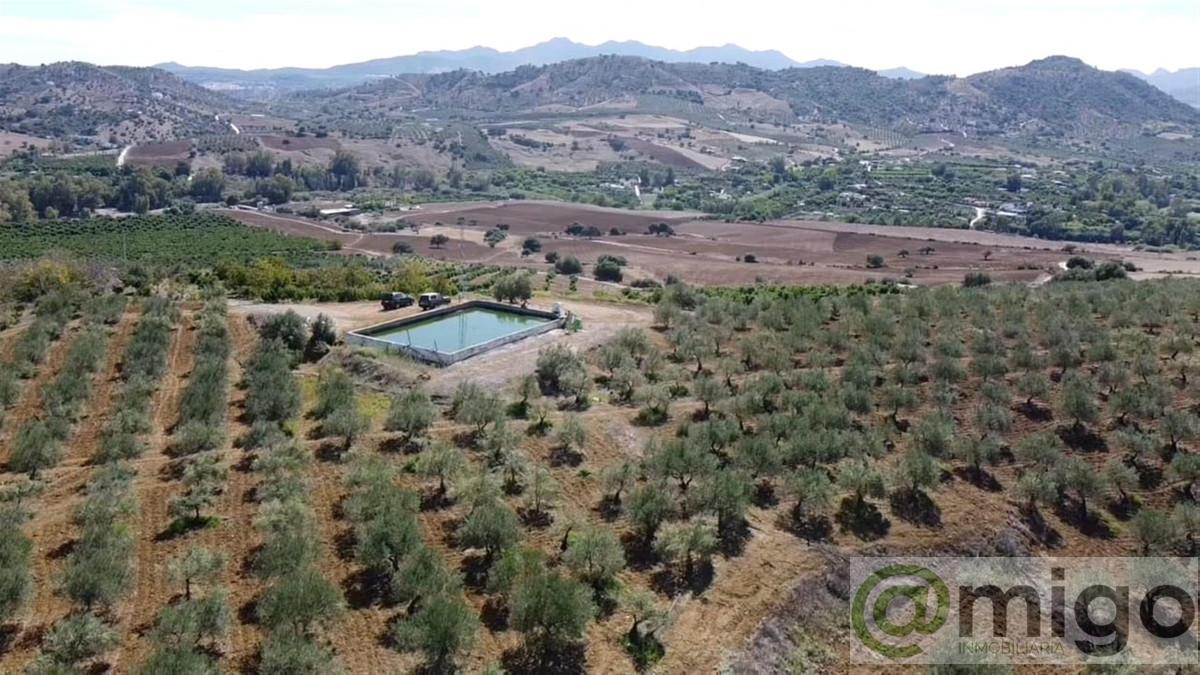 Venta de terreno en Coín