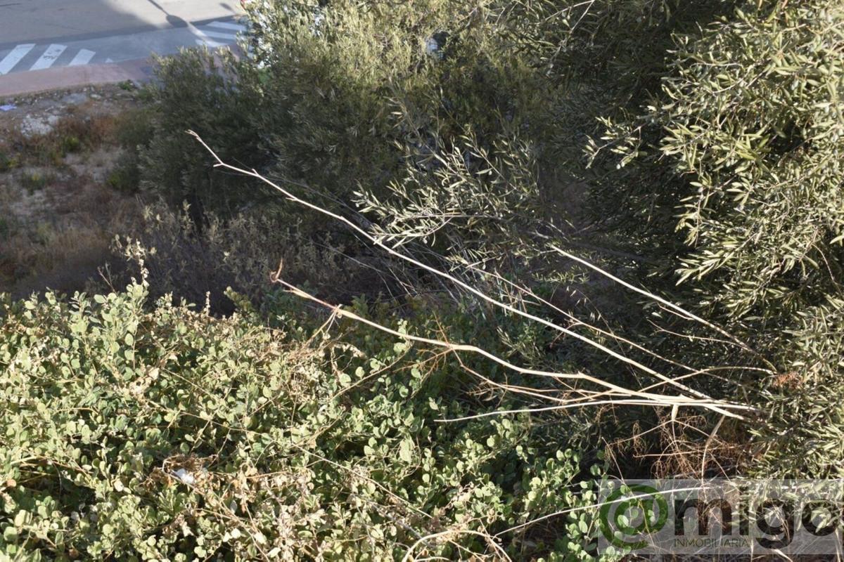 Venta de terreno en Coín