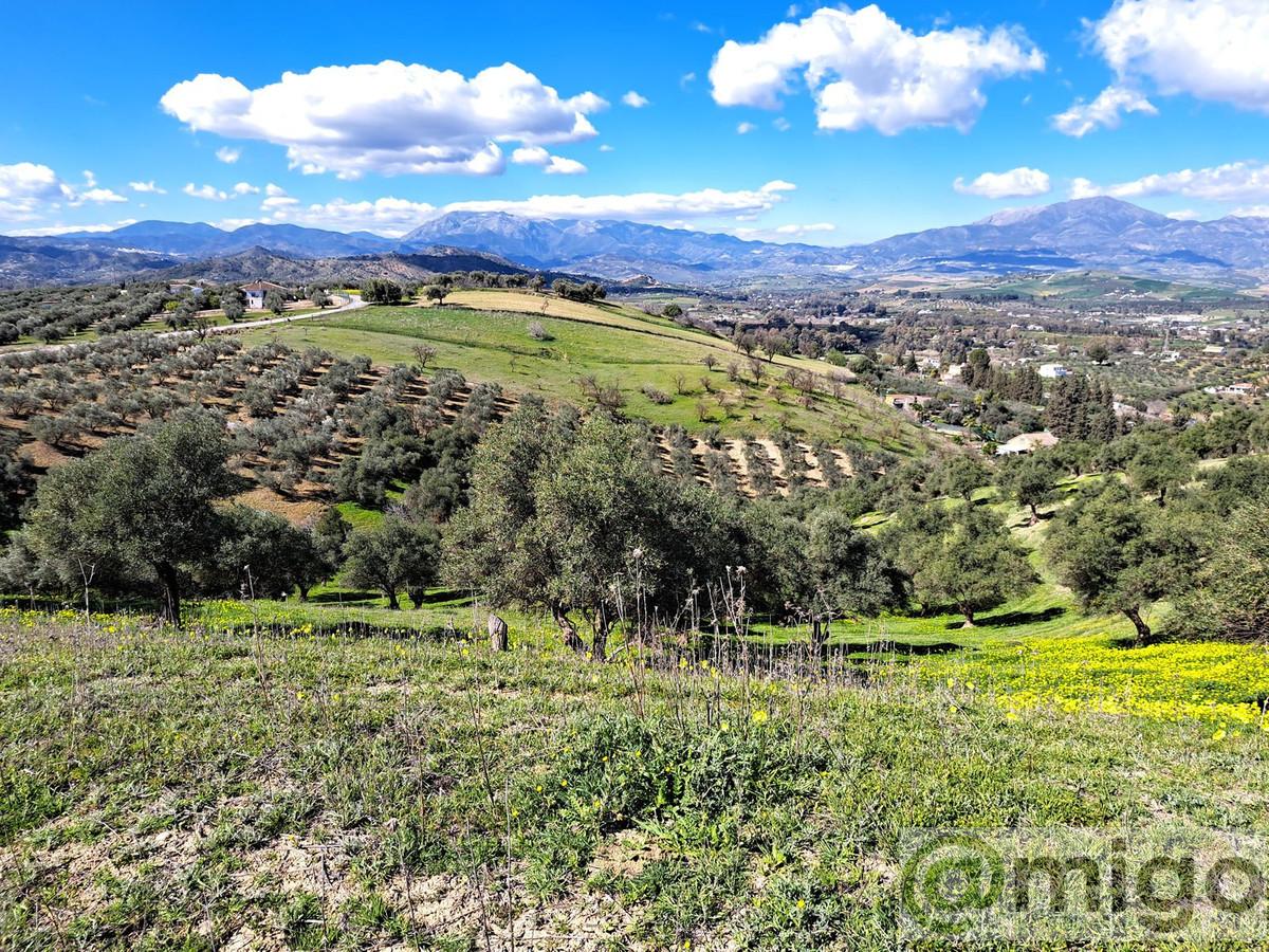 Venta de terreno en Coín