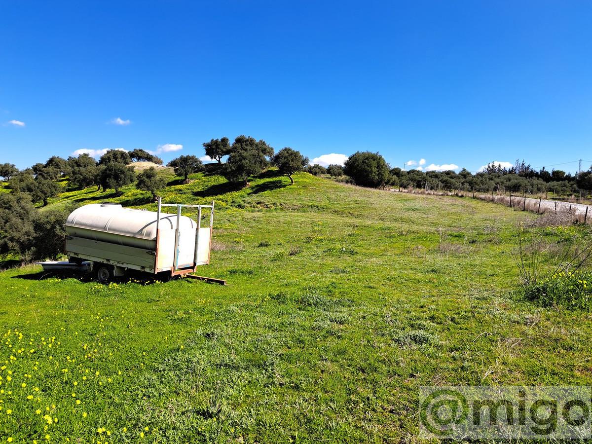 Venta de terreno en Coín