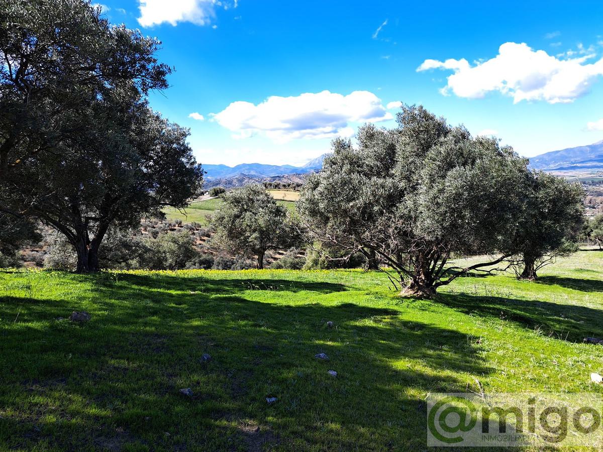 Venta de terreno en Coín