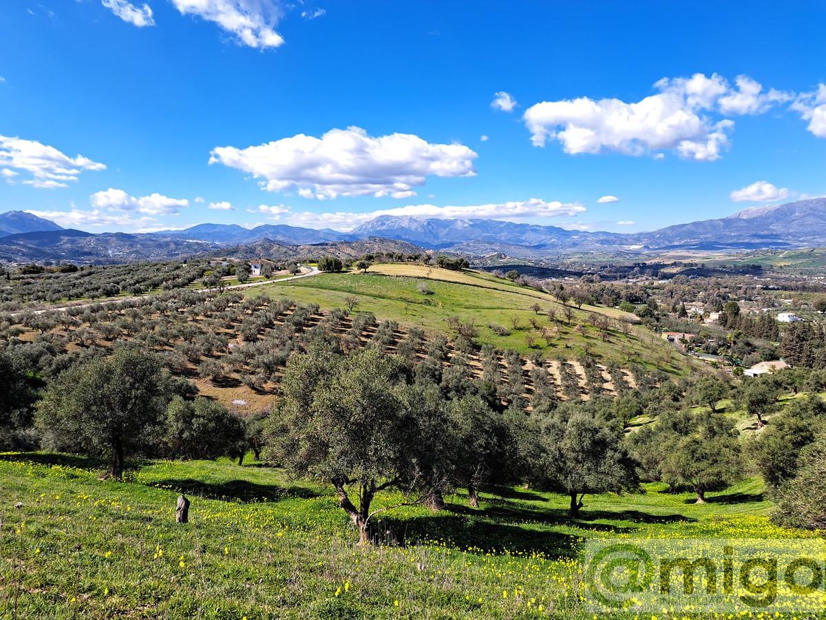 Venta de terreno en Coín
