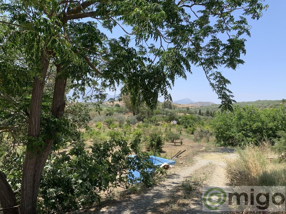 Venta de terreno en Coín