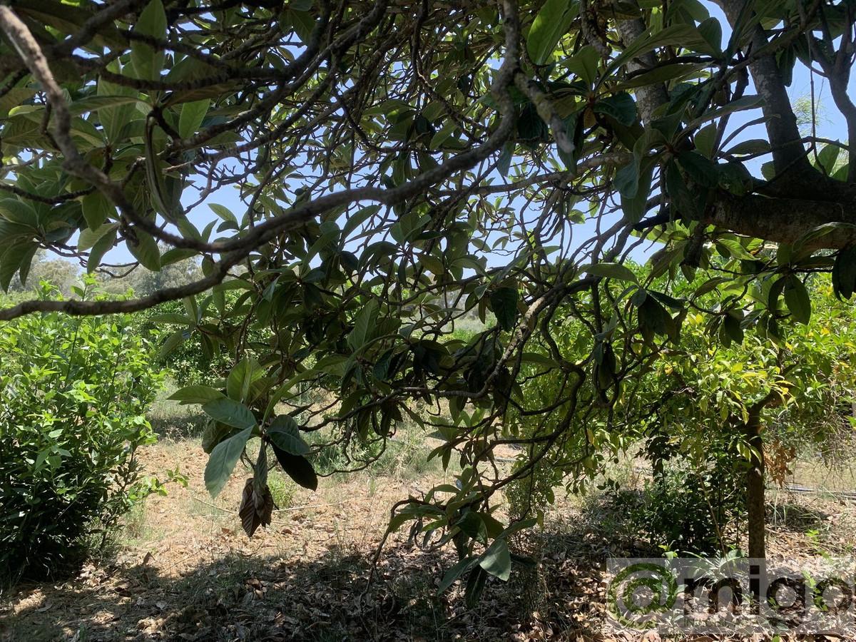 Venta de terreno en Coín