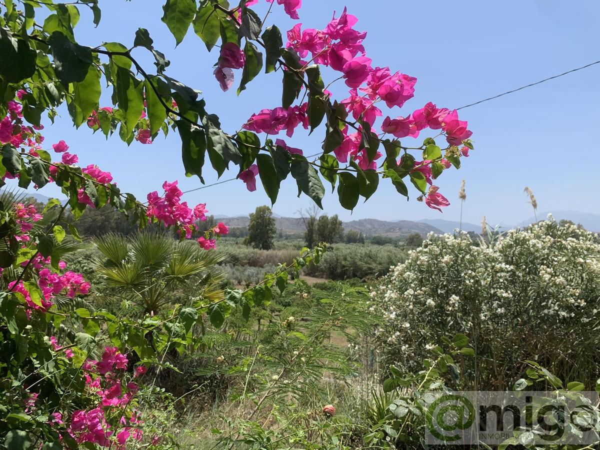 Venta de terreno en Coín