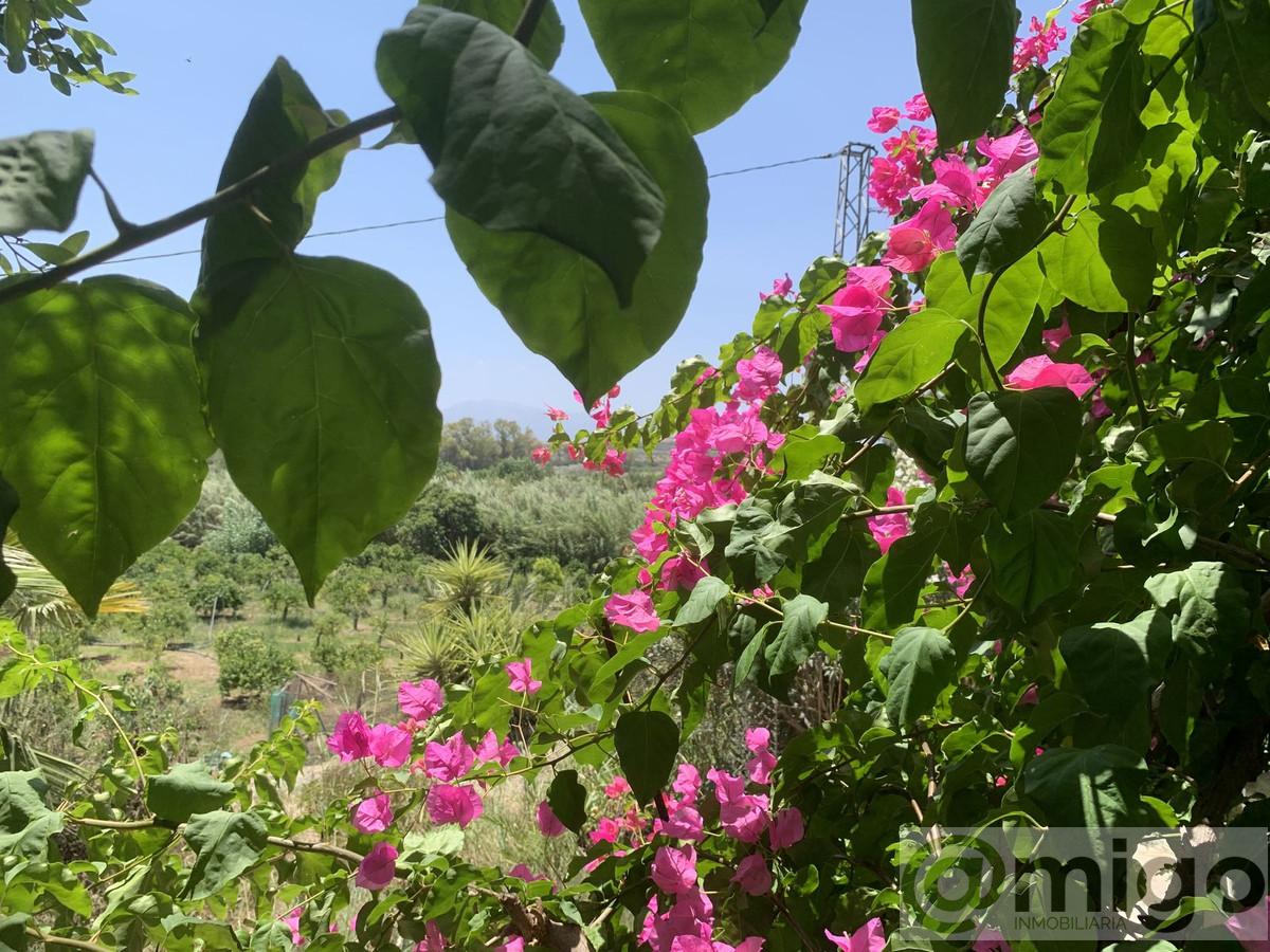 Venta de terreno en Coín