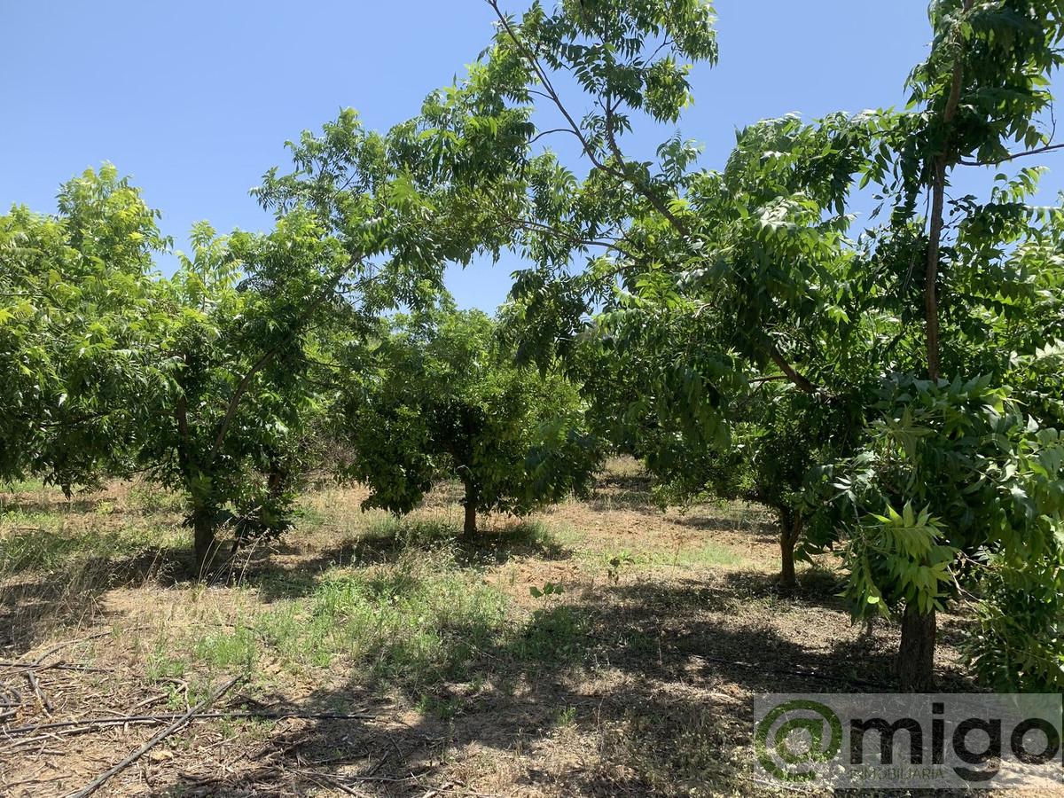 Venta de terreno en Coín