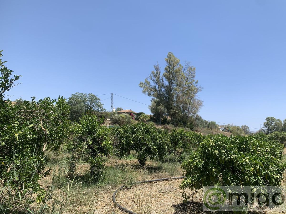 Venta de terreno en Coín