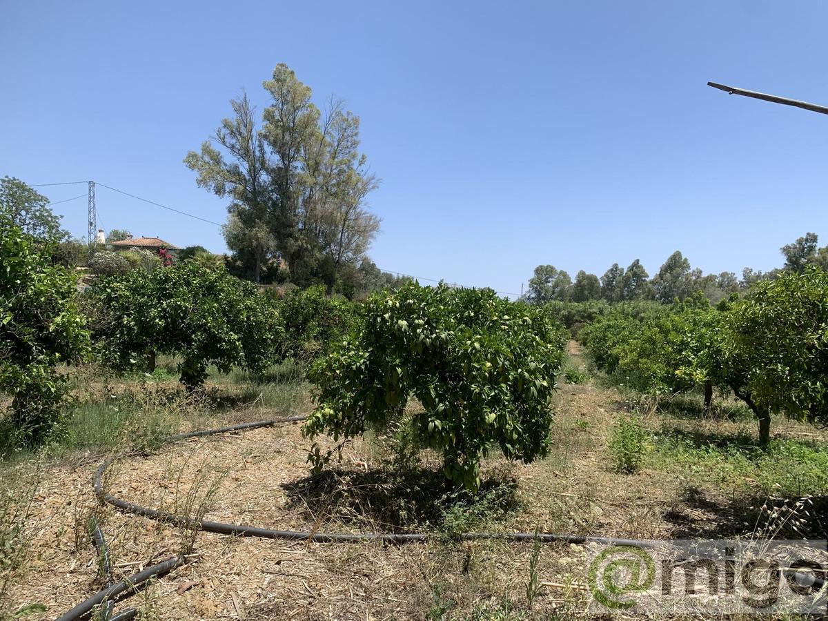 Venta de terreno en Coín