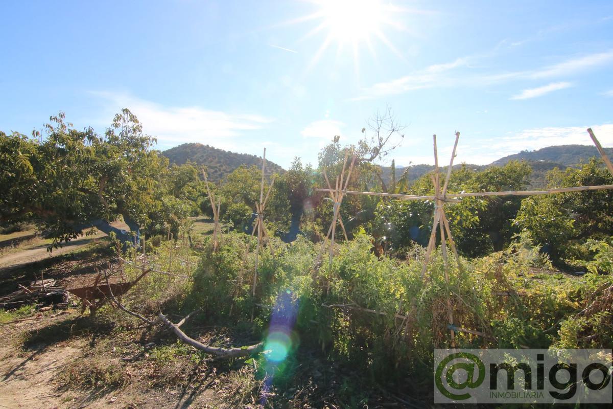 Venta de terreno en Coín