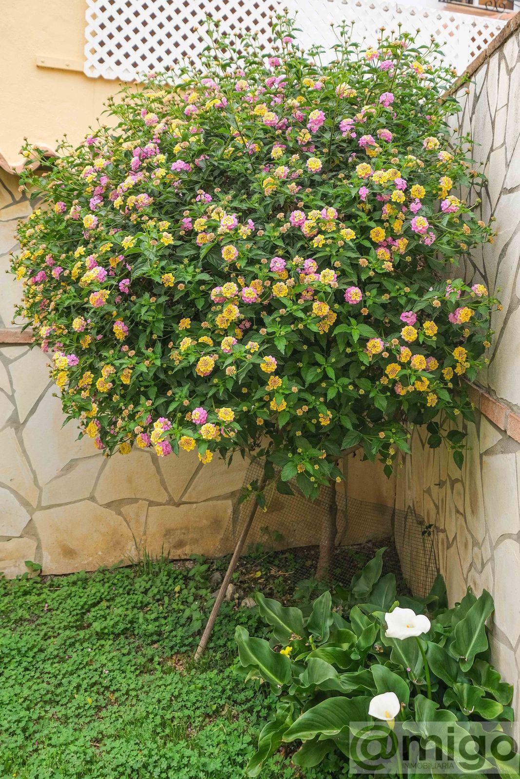 Venta de villa en Las Lagunas