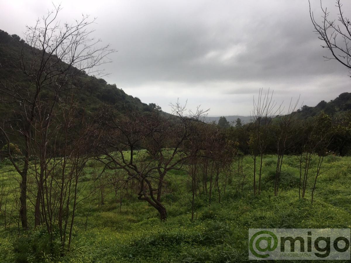 Venta de terreno en Estepona