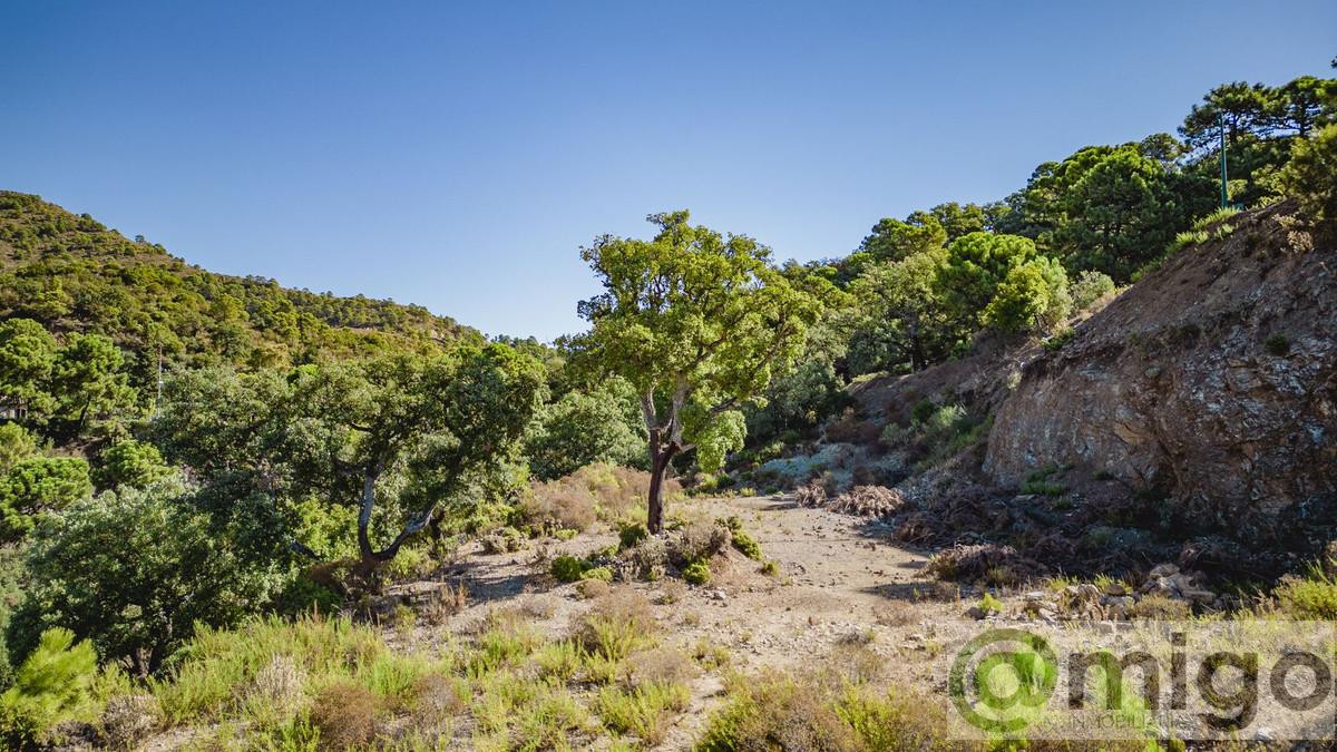 Venta de terreno en Marbella